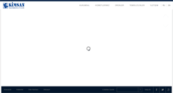 Desktop Screenshot of kimsankimya.com